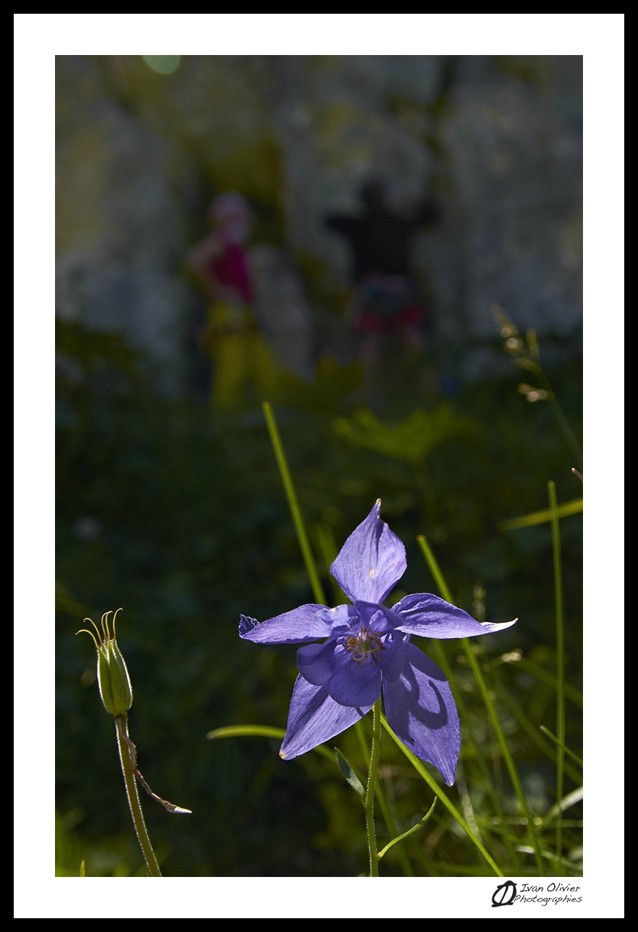 France - Port de Lers Ivan Olivier Photographie© (5)