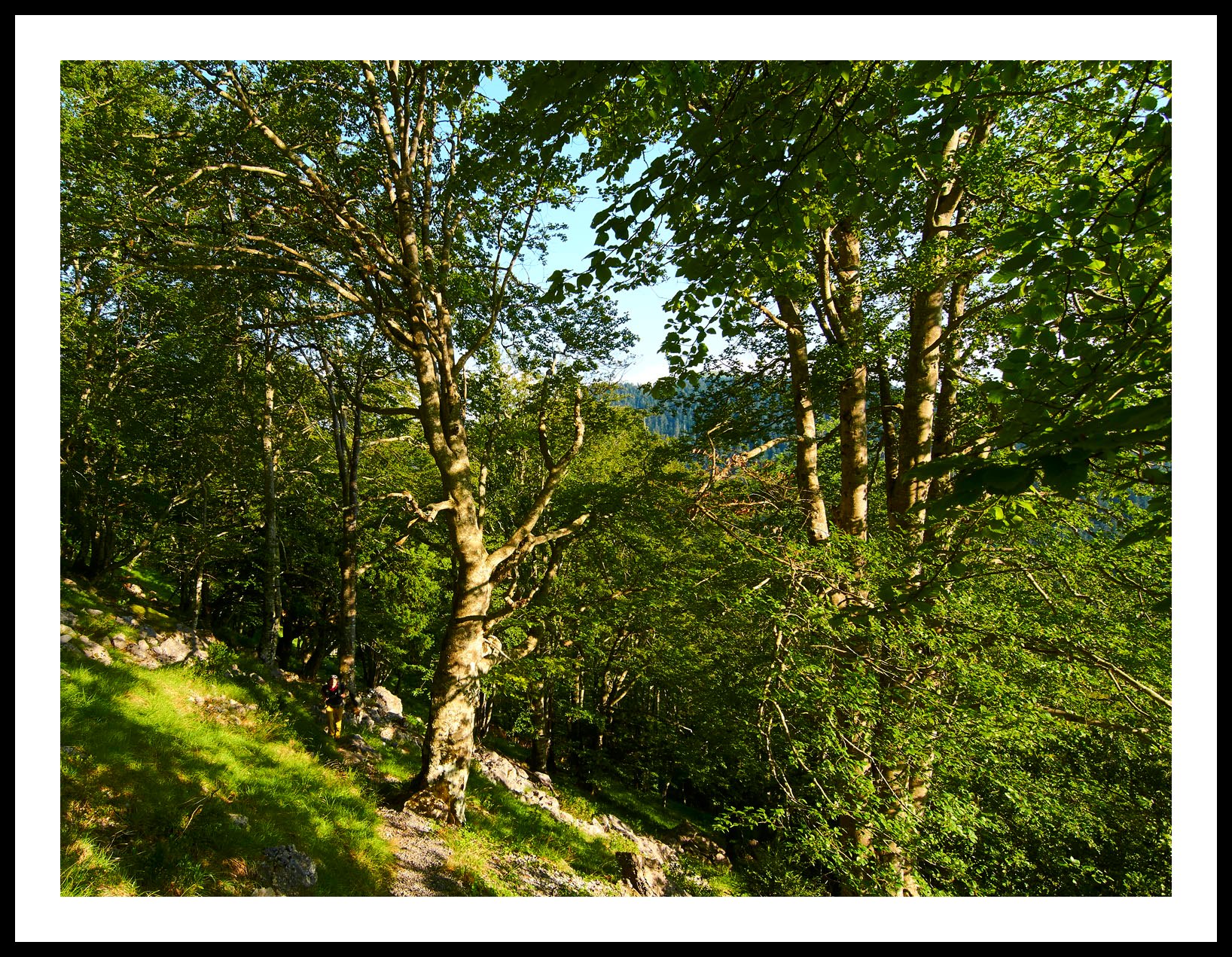 gc-falaise-pene-haute-2016-ivan-olivier-photographies