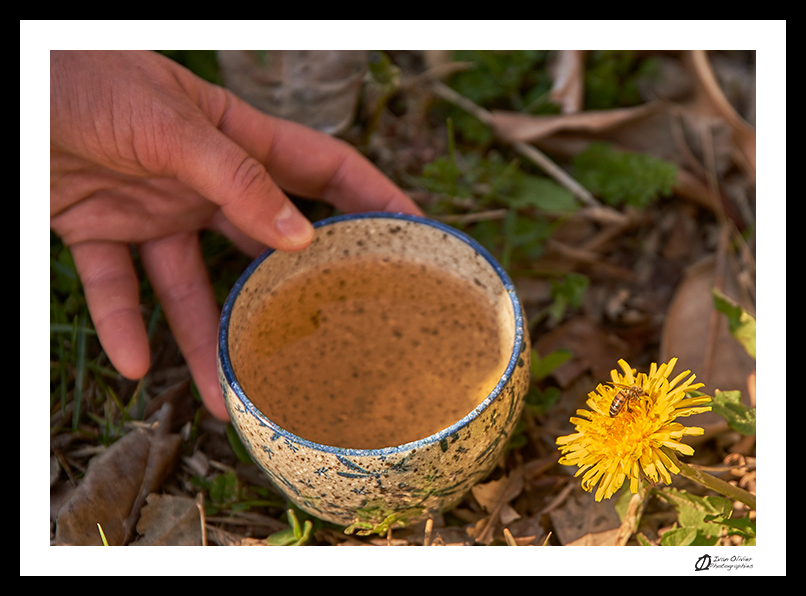 tisane dépurative © Ivan Olivier Photographie (4)