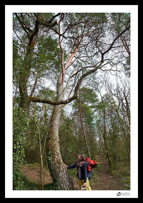 Roc fayard périgord © Ivan Olivier Photographie (32)