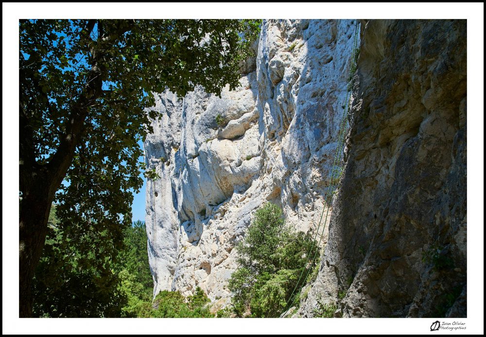 Falaise Saint-léger © Ivan Olivier Photographie (6)