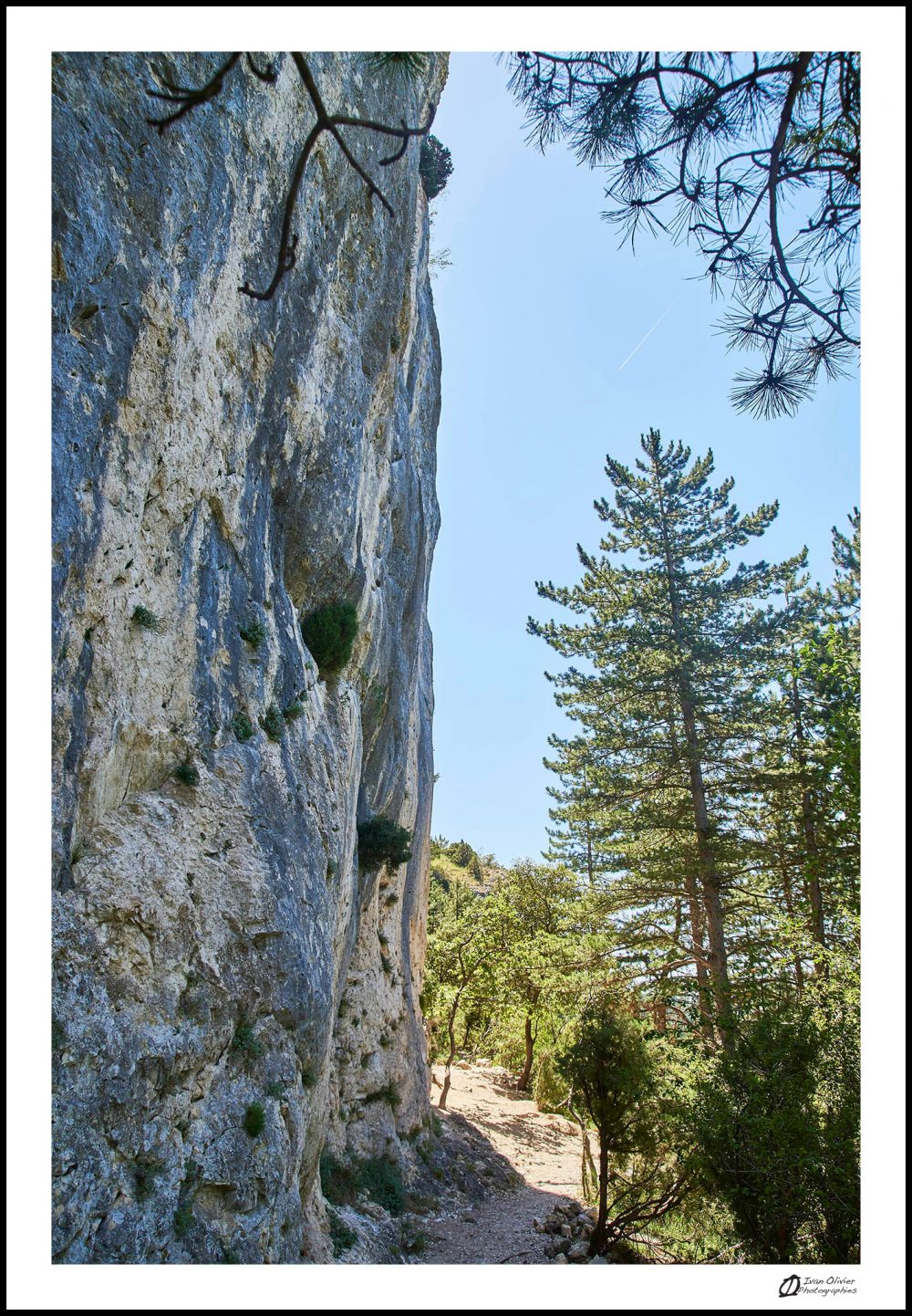 Falaise Saint-léger © Ivan Olivier Photographie (7)