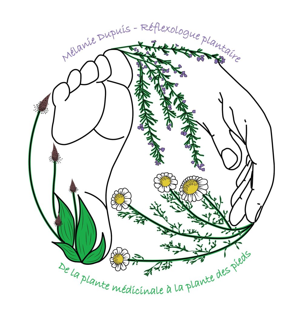 logo melanie dupuis - reflexologue plantaire - avec texte 2