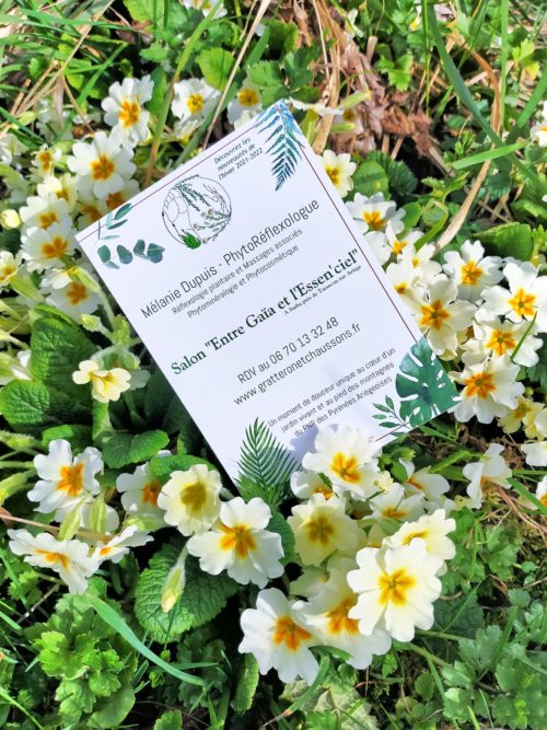GC - mélanie dupuis phytoreflexologue et massages - ariege - surba - flyer
