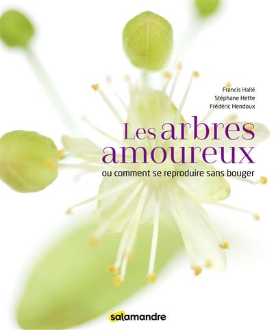 GC-chronique livre les arbres amoureux - la salamandre couverture