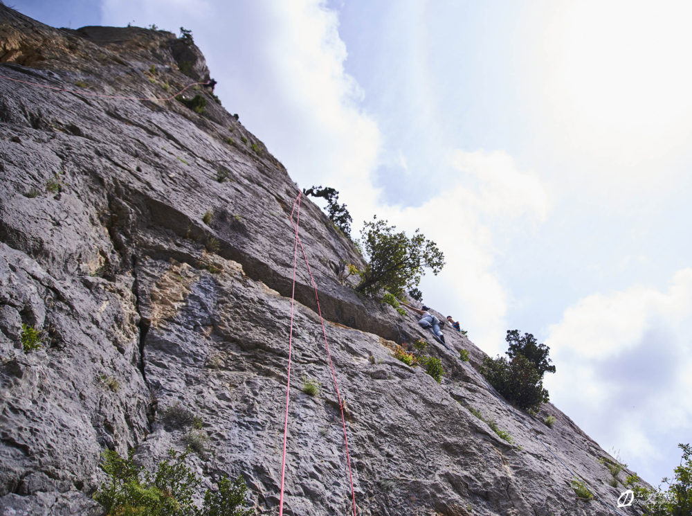 France - falaise de St Jean de Buèges © Ivan Olivier Photographie (13)