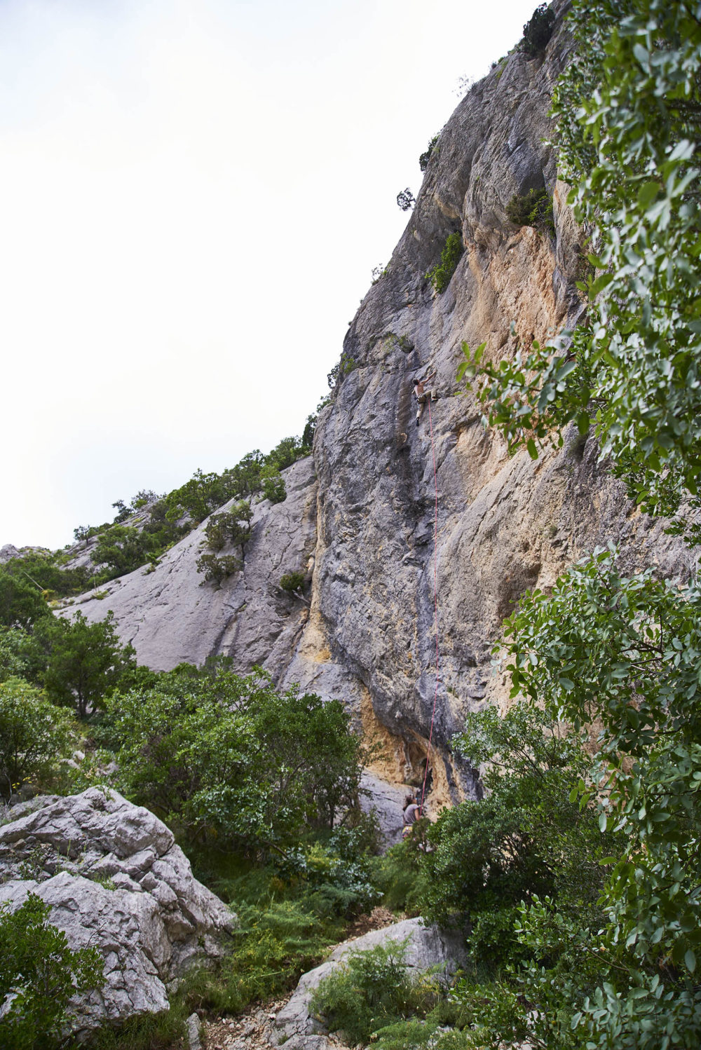 France - falaise de St Jean de Buèges © Ivan Olivier Photographie (16)