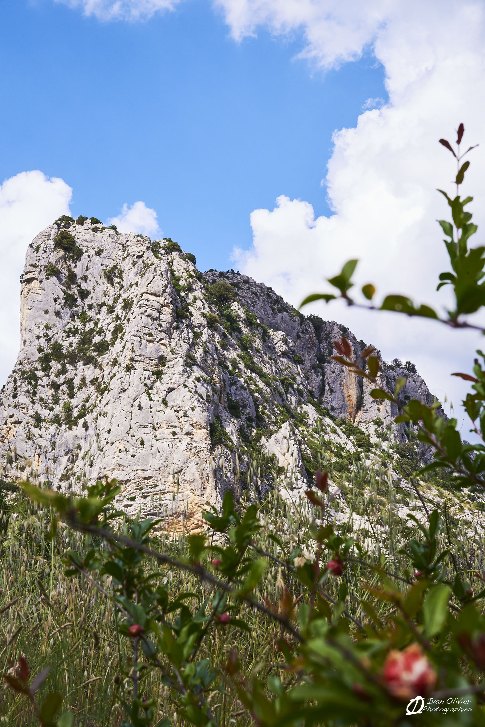 France - falaise de St Jean de Buèges © Ivan Olivier Photographie (2)