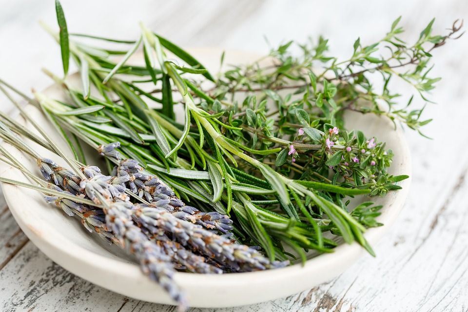 GC - herbes de provence - thym - pixabay