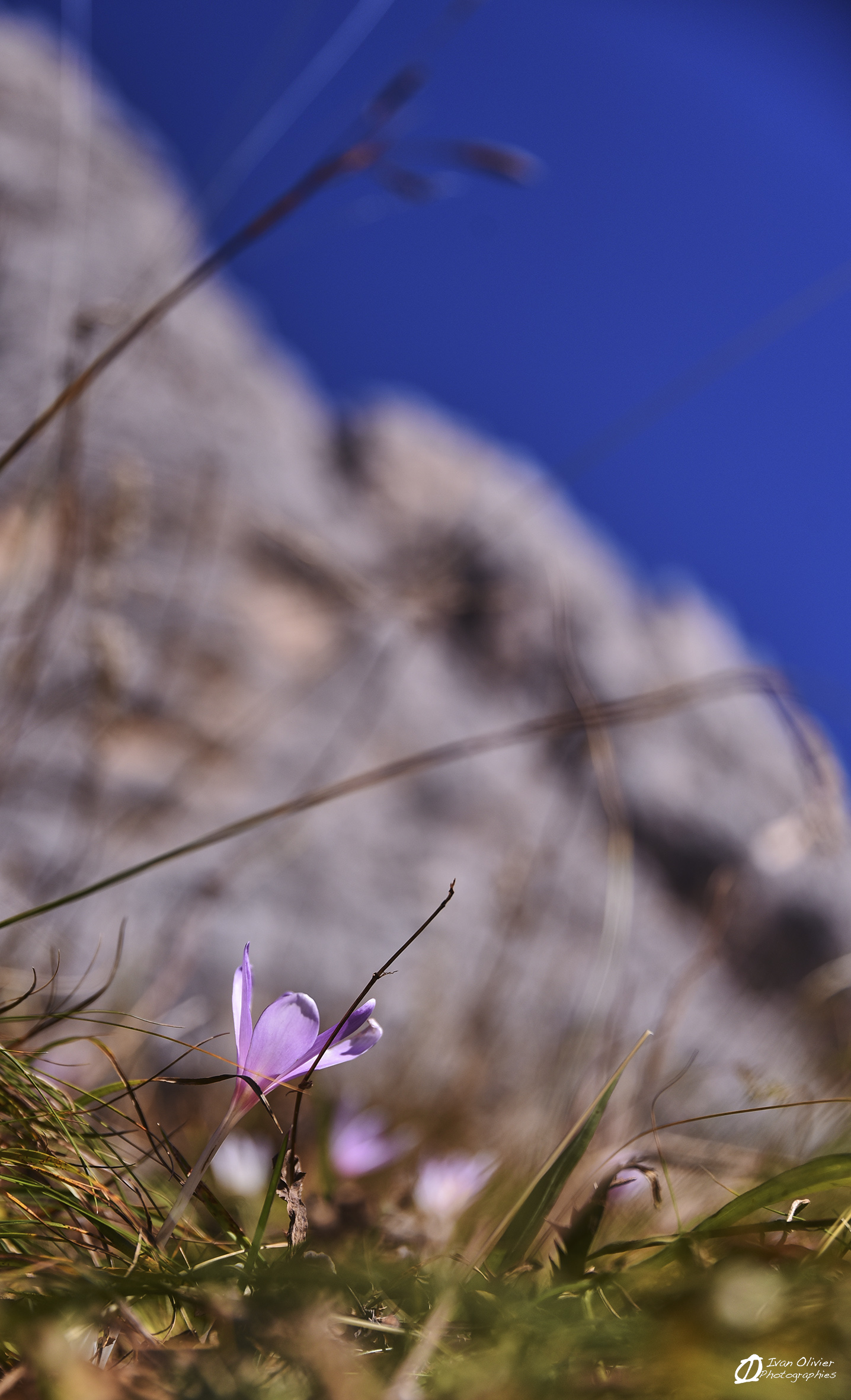 Italie - Dolomites© Ivan Olivier Photographie (51)