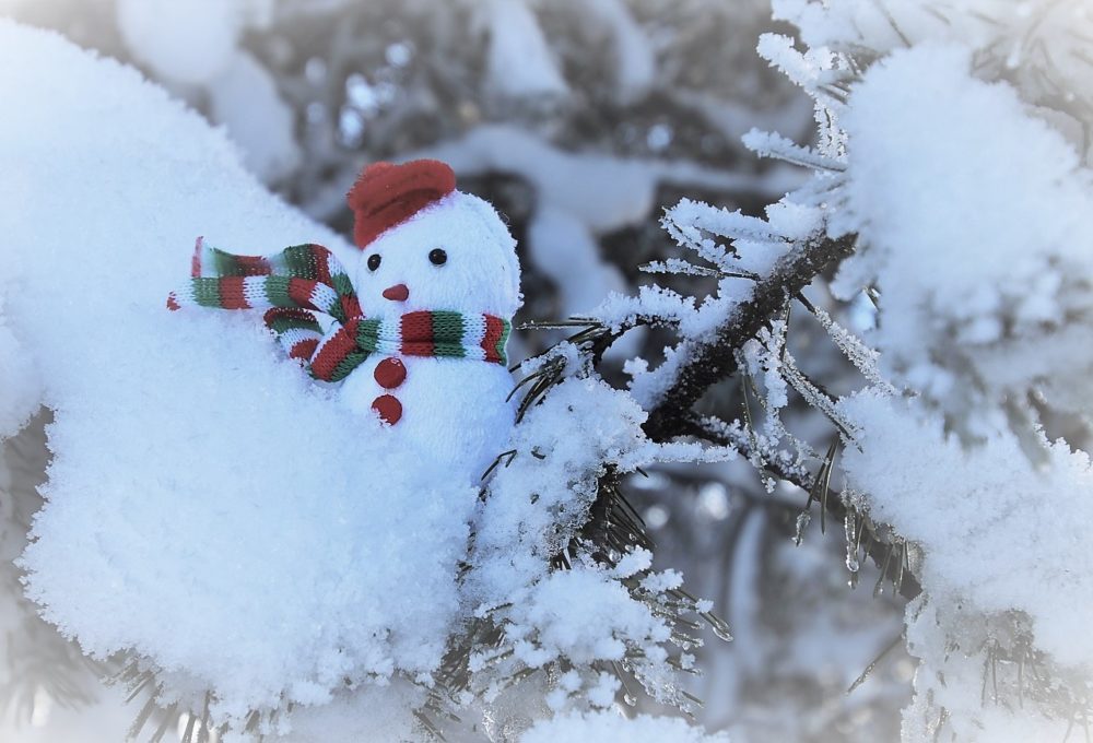 GC - angine amygdalite - bonhomme de neige - pixabay