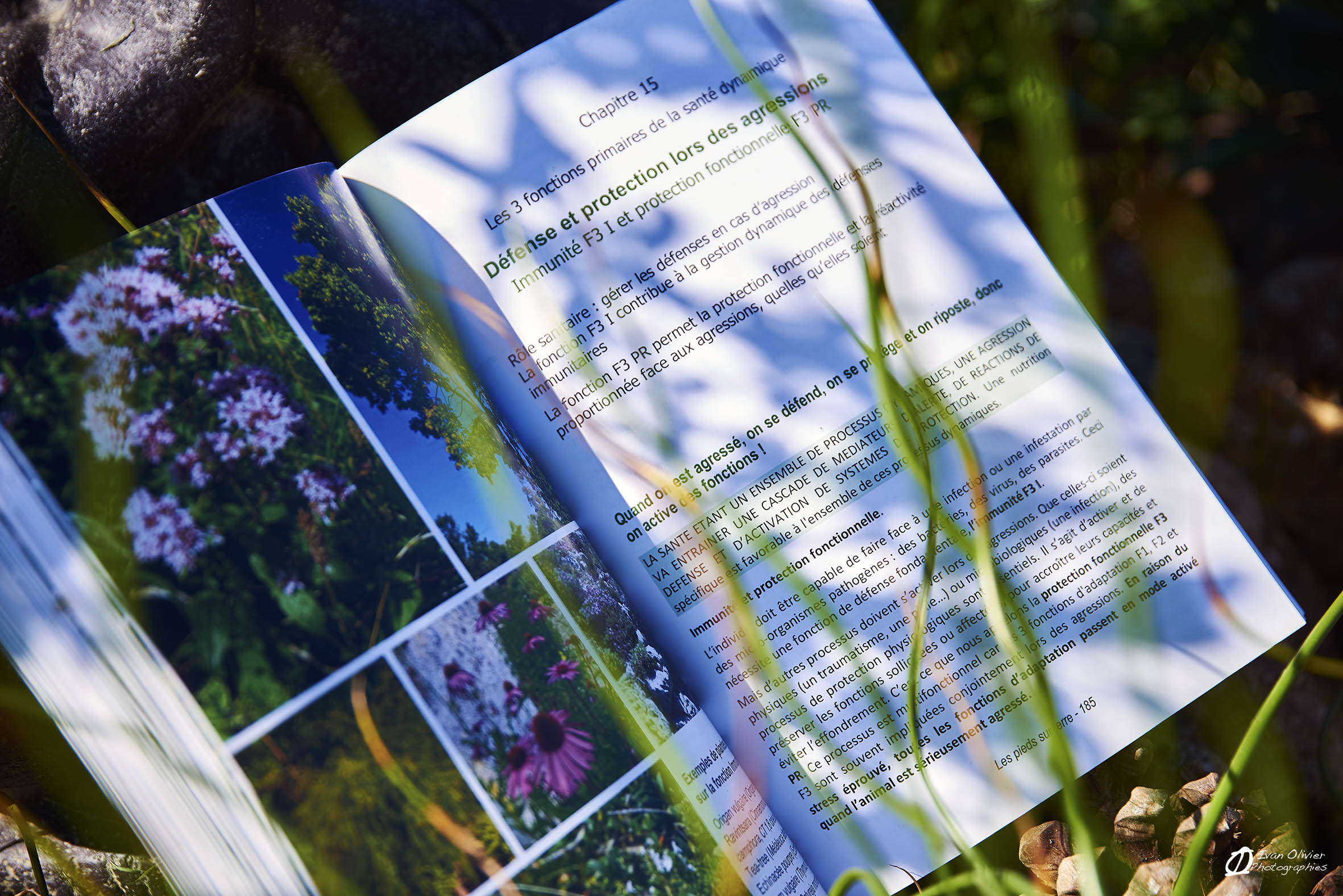 livre GC les pieds sur terre - Ivan Olivier Photographies© France (11)