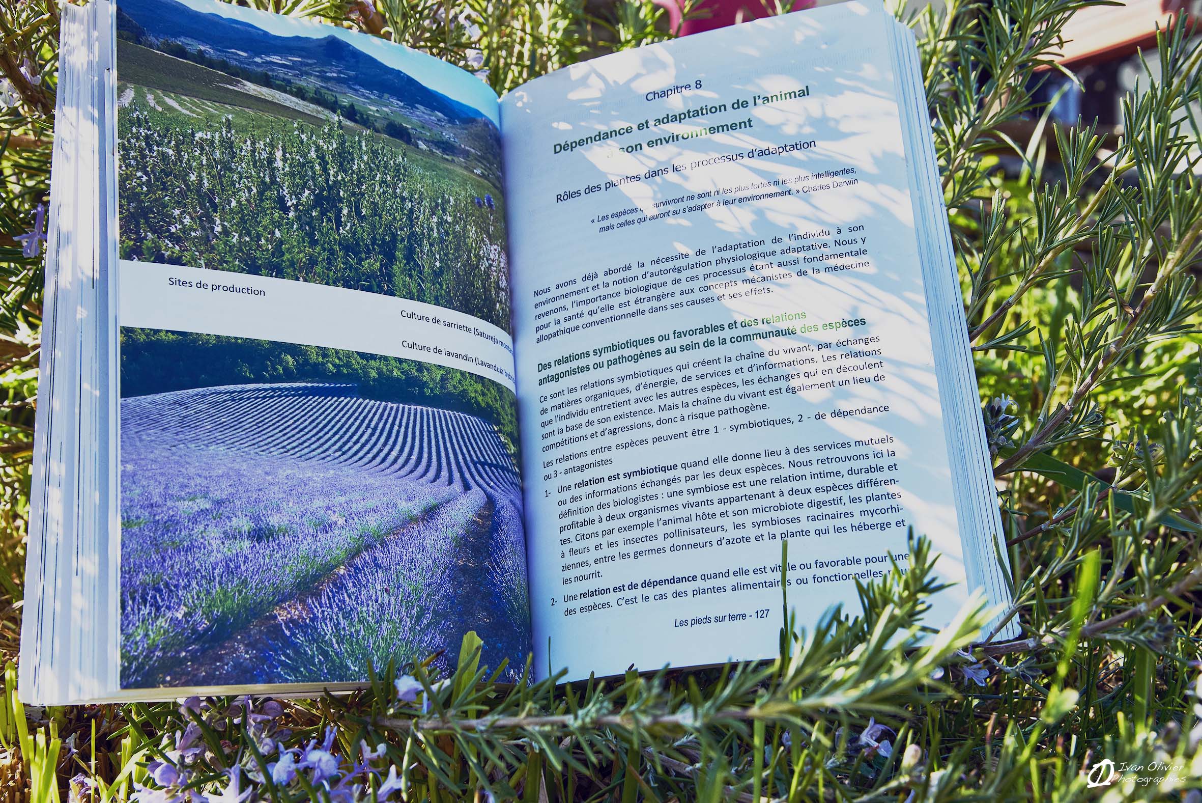 livre GC les pieds sur terre - Ivan Olivier Photographies© France (7)