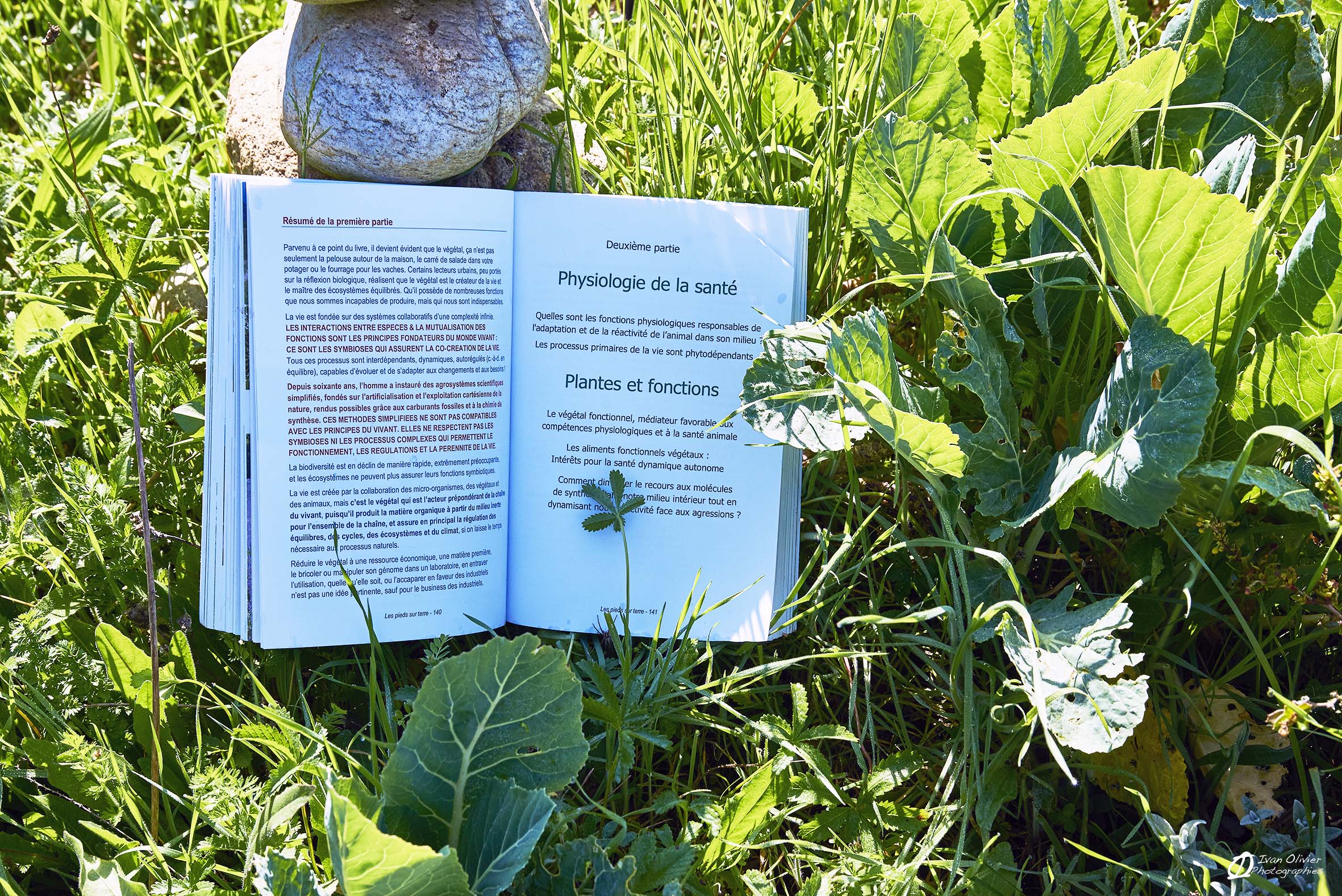 livre GC les pieds sur terre - Ivan Olivier Photographies© France (8)