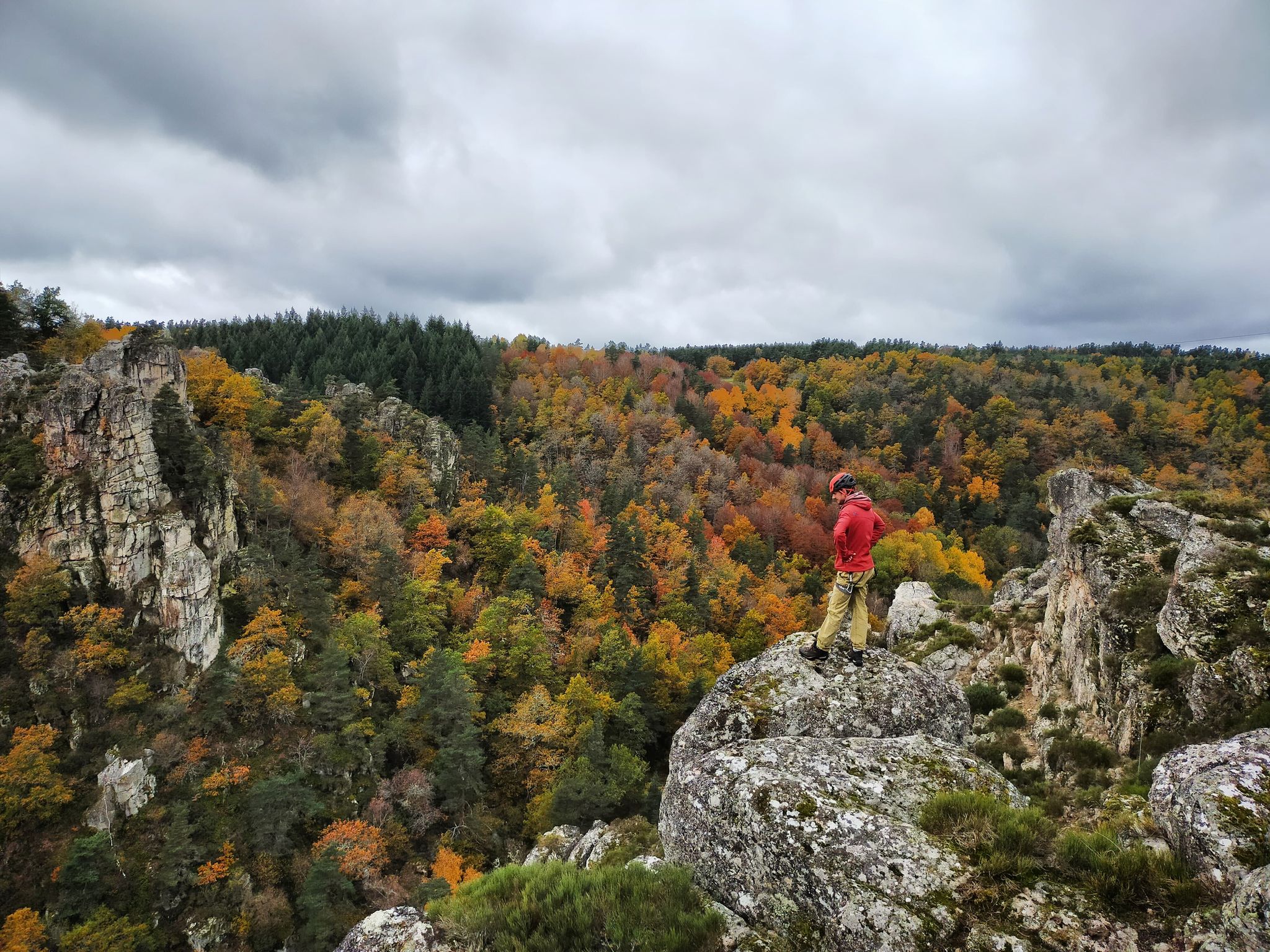 GC- Chataignier - castanea sativa - couleurs automne - gorges de la truyere lozere automne 2020 2