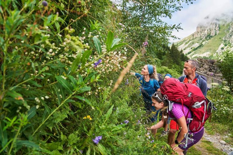 GC - famille dupuis - sortie nature et story telling - cueillette ariege besines