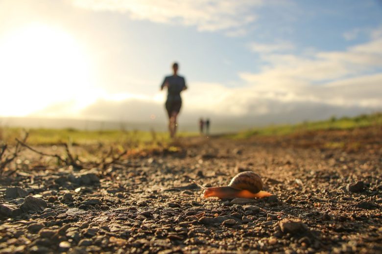 Pixabay trail running escargot