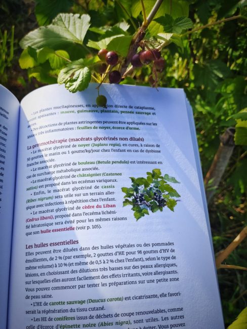 GC - chronique livres - manuel de phytothérapie ecoresponsable - aline mercan - terre vivante (1)