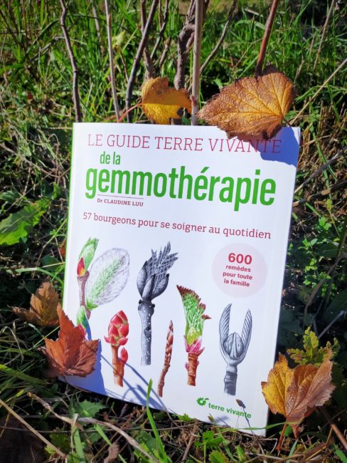 GC - chronique livre - guide terre vivante gemmotherapie - Claudine Luu (3)