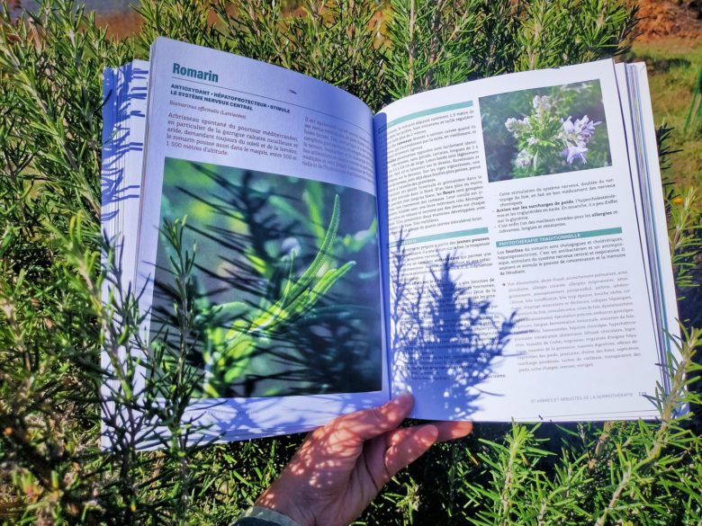 GC - chronique livre - guide terre vivante gemmotherapie - Claudine Luu (7)