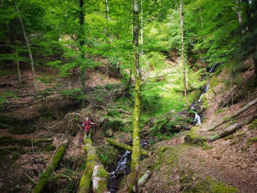 GC - randonnée trail - moulins de la laurède - vallée de la barguillère - foix ariege (11)