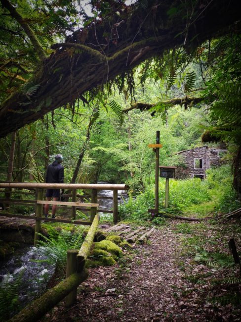 GC - randonnée trail - moulins de la laurède - vallée de la barguillère - foix ariege (2)