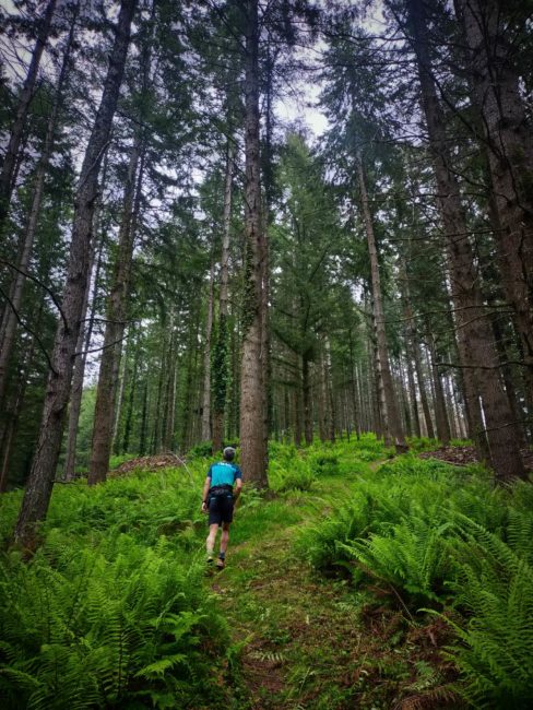 GC - randonnée trail - moulins de la laurède - vallée de la barguillère - foix ariege (3)