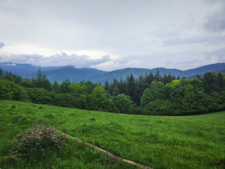 GC - randonnée trail - moulins de la laurède - vallée de la barguillère - foix ariege (5)