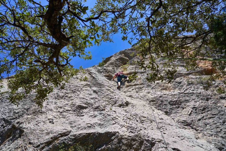 GC- Falaise de Perles, Catalogne, province de Llieda, juillet 2023 © Ivan Olivier Photographie (35)