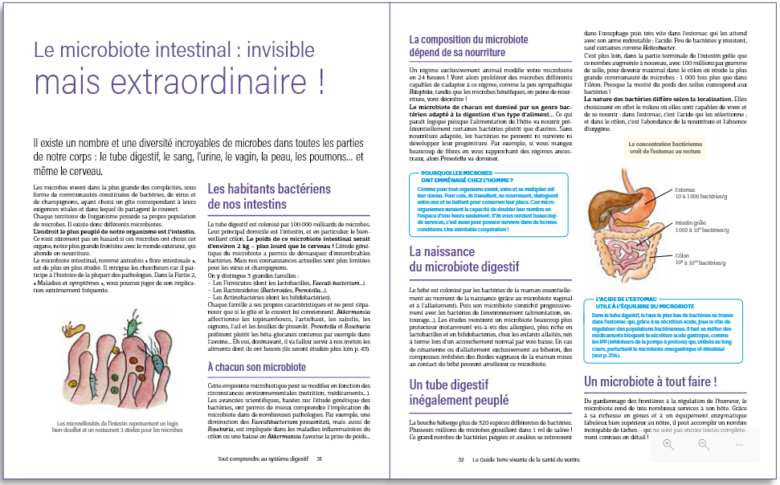 GC - le guide terre vivante de la santé du ventre - chronique livre (1)