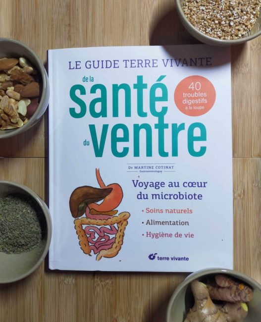 GC - le guide terre vivante de la santé du ventre - chronique livre - couverture 1 (2)