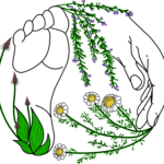 FAQ et bonnes utilisations des Huiles Essentielles