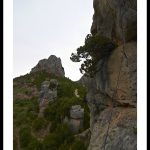 espagne-coll-de-nargo-ivan-olivier-photographie-6