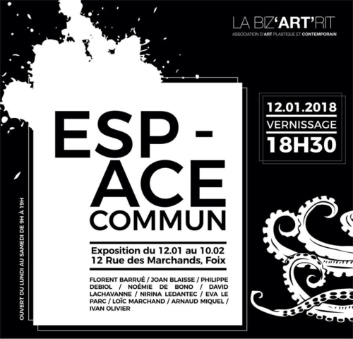 exposition bizartrit - espace commun