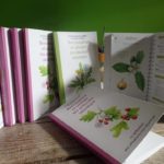 Chronique livre: Reconnaître et utiliser les plantes sauvages – Association Cueillir