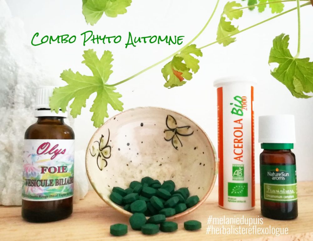 COMBO PHYTO AUTOMNE: vers fin septembre-octobre, bien que j'adore cette saison, je ressens toujours un vrai coup de mou et un foie plus lent. 💤 Alors, j'essaie de ralentir mais je vous dévoile aussi ma propre synergie du moment!  ✨L'Acerola pour faire le plein de vitamine C avant les premiers frimas ✨Extraits de bourgeons en traitement de fond pour le foie: les intersaisons sont idéales pour s'en occuper ✨ De la spiruline pour le coup de boost et faire le plein de minéraux que nous avons perdu cet été avec la transpiration ✨HE de ravintsara: 2 gouttes sur la nuque et dans le lait pour le corps après la douche, pour donner un coup de pouce au système immunitaire  💞 Et toujours, se donner beaucoup d'amour et considérer son corps avec bienfaisance! 😘