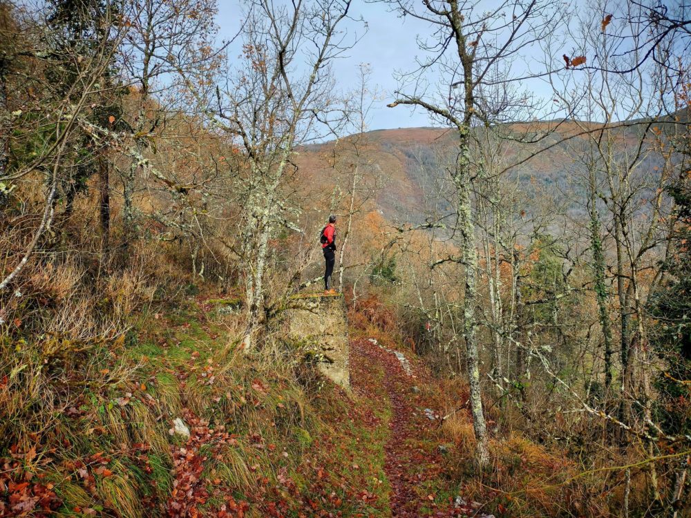 17/12/20: ancien local technique et poteau électrique du chemin des carrières