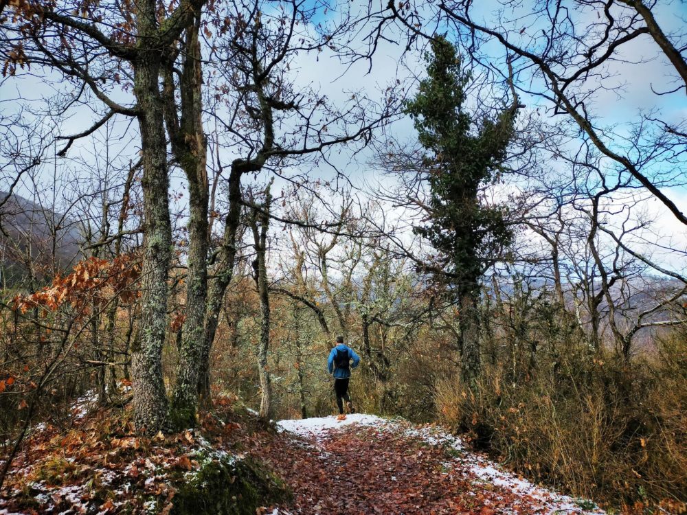 30/12/20 - Il faudra revenir avec les feuillages vert tendre du printemps!