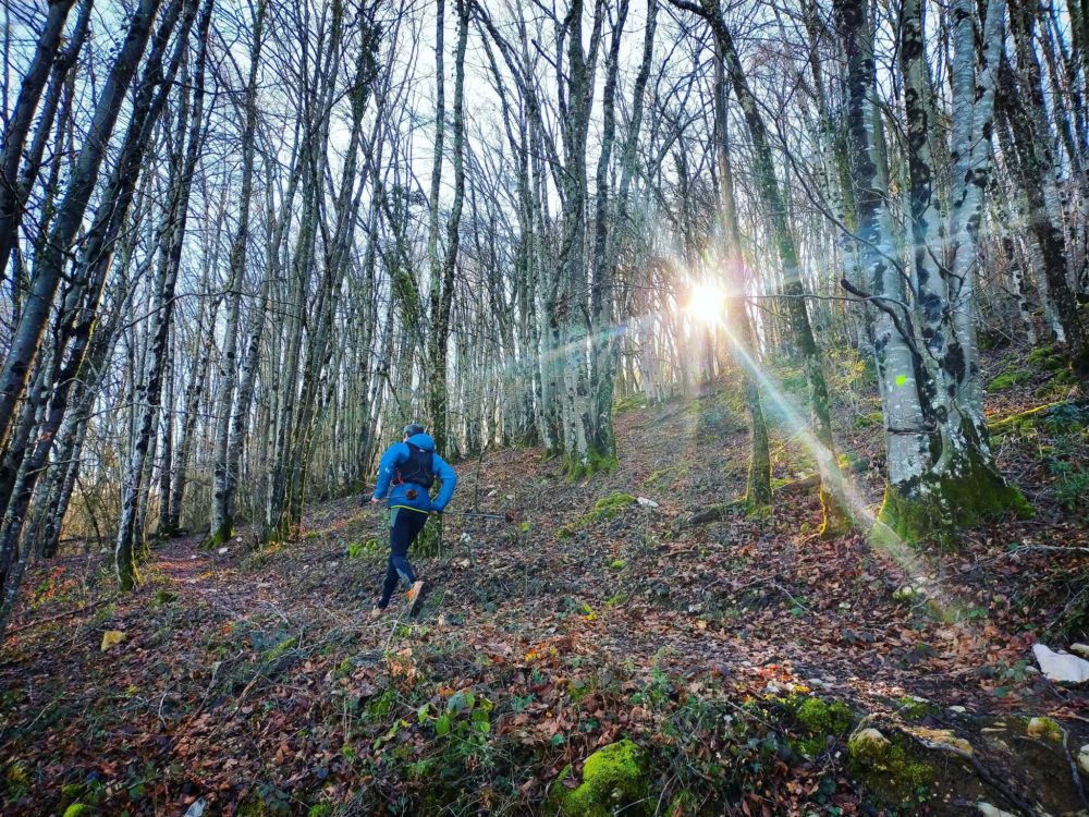 18/01/21 - Montée dans le bois de la Balme