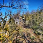 Trail 23km – Trail de la Courbière en off – Haute Ariège