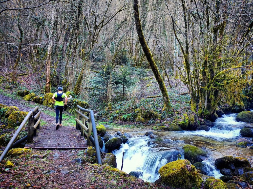 14/02/21 - Ruisseau de Saillens, avant d'attaquer une montée bien à l'ombre et plutôt fraîche en hiver