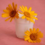 Votre santé clefs en mains