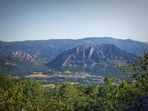 Une autre vue sur le salon ou presque! (Caché dans les feuillages à droite 😉)