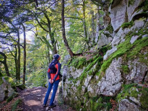 Début du sentier des Roches - octobre 2021