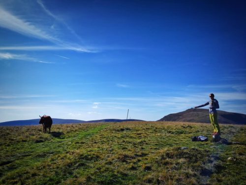 Depuis le petit Hohneck, avec vue sur le Hohneck au bout du doigt - octobre 2021