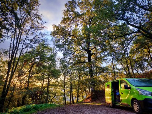 Dans la forêt enchantée - Octobre 2022