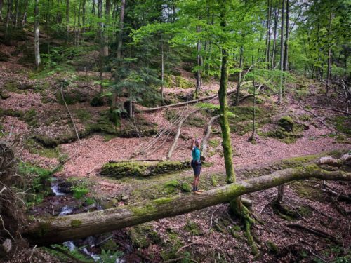 GC - randonnée trail - moulins de la laurède - vallée de la barguillère - foix ariege (10)