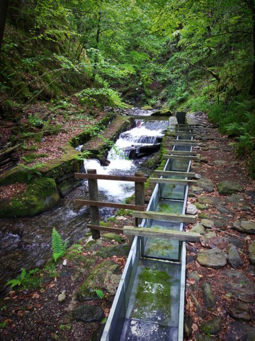 GC - randonnée trail - moulins de la laurède - vallée de la barguillère - foix ariege (7)