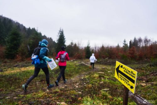 GC -Course Orientation trail du Loup Blanc 2023 - Ivan Olivier Photographies© Creuse - France (24)