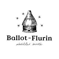 logo ballot flurin
